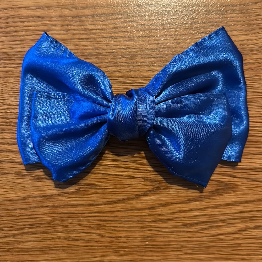 Blue hair pin.